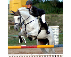 Ramona Schilloks hat mit der Cellestial-Stute Carolin das M-Springen in Dabel gewonnen. Foto: Lohrmann
